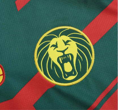 Maillot | One Cameroun édition spécial 2022-2023