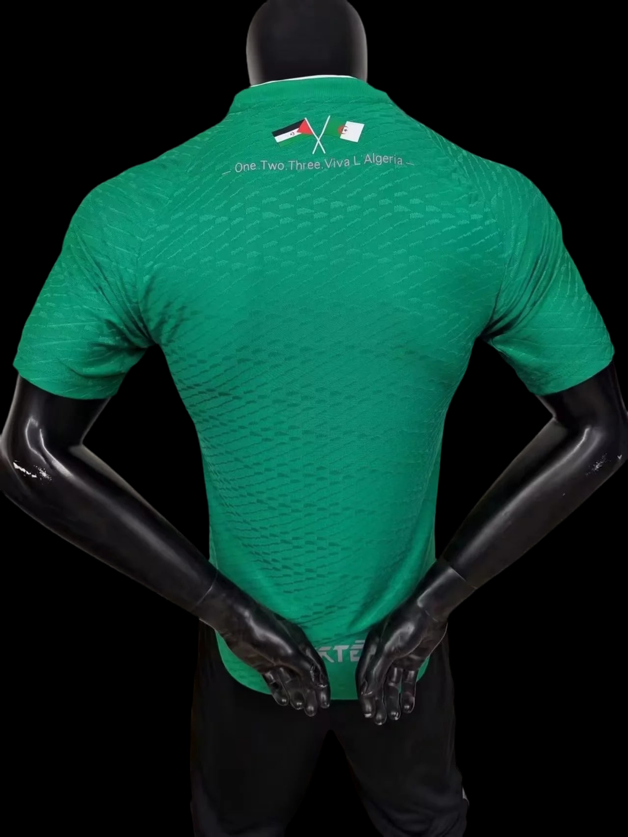 Maillot | Adidas Algérie édition 2023-2024