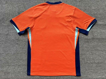 Jersey | Nike Netherlands special edition 2024-2025