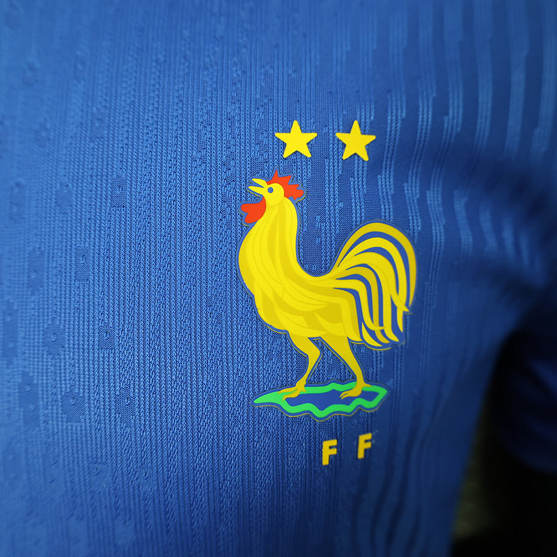 Maillot | Nike France Extérieur 2024-2025