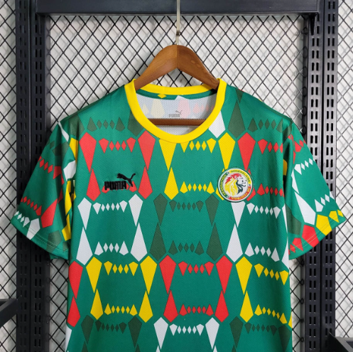 Jersey | Puma Senegal home edition 2023-2024