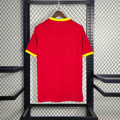 Jersey | Puma Guinea home edition 2024-2025