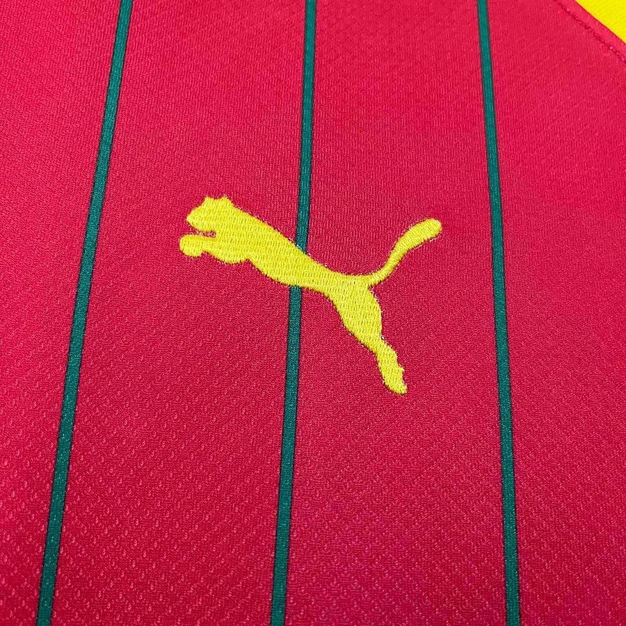 Jersey | Puma Guinea home edition 2024-2025