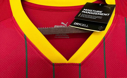 Maillot | Puma Guinée domicile édition 2024-2025