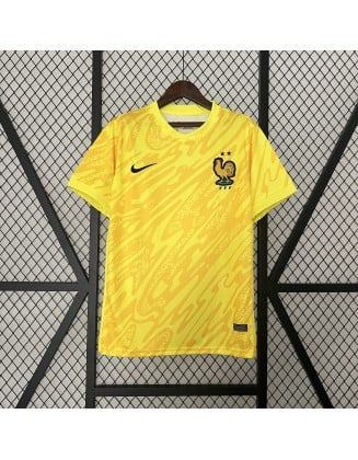 Maillot | Nike France édition spéciale 2024-2025